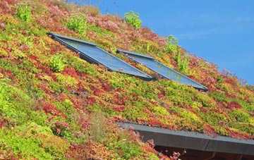 Gedney living roof systems