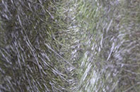 Gedney fibreglass roof work